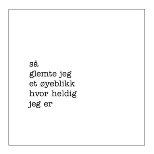 Sögne Home Servietter lunsj 33x33 cm 20 stk "heldig"