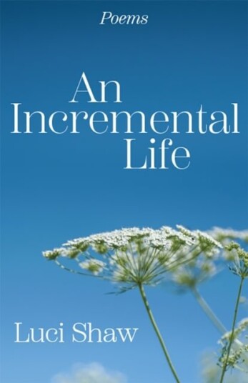 Incremental Life An Incremental Life An