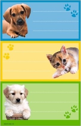 Herlitz 830216, Universell, 3 Stykker, 3 Ark, 8 Cm, 12,5 Cm, 80 Mm