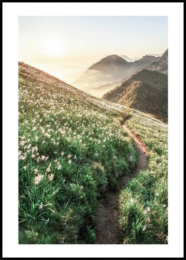 Mountain Sunset Plakat Plakat / 50x70cm