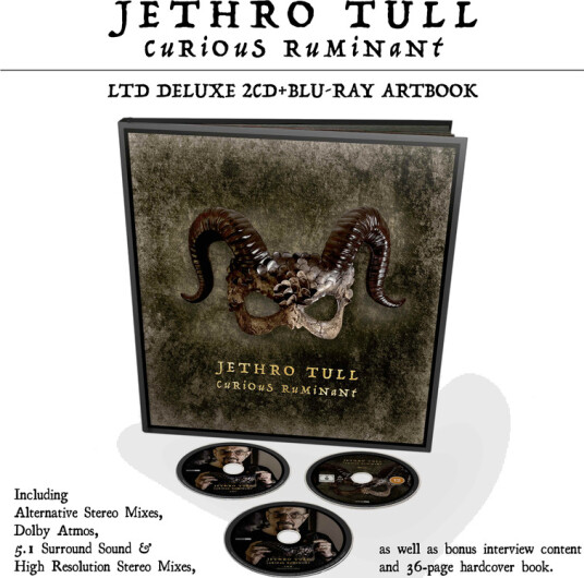 Jethro Tull Curious Ruminant CD