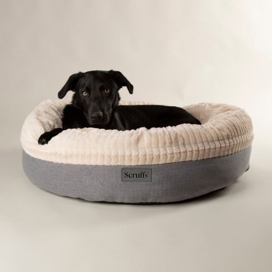 Scruffs Ellen Donut Hundeseng Lys Grå (55 cm)