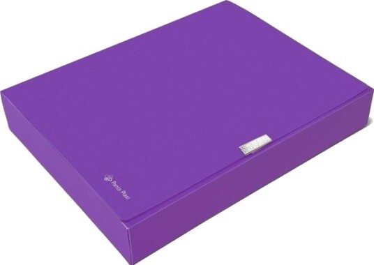 Pantaplast Panta Plast A4 Mappe Box 55 Mm Neon Lilla