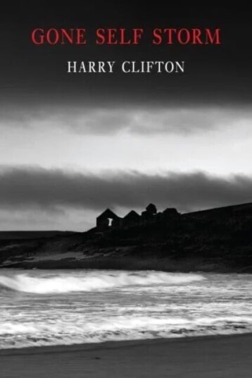 Gone Self Storm Av Harry Clifton