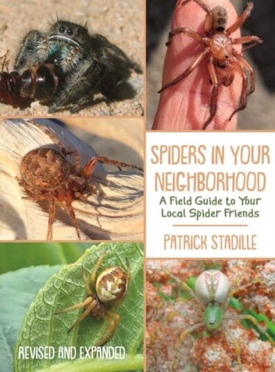 Spiders in Your Neighborhood A Field Guide to Your Local Spider Friends, Revised and Expanded