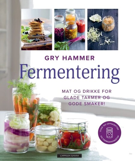Gry Hammer Fermentering: Næringsrike Oppskrifter for Smakfull Mat og Drikke