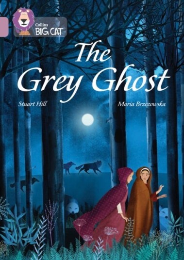 The Grey Ghost Av Stuart Hill