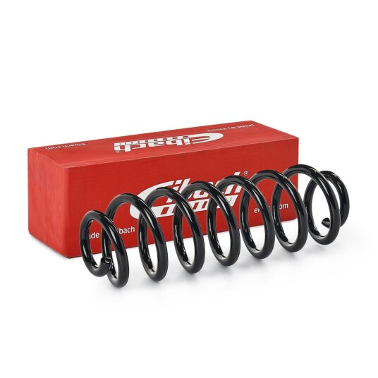 Fjær EIBACH R21093 Fjær EIBACH R21093