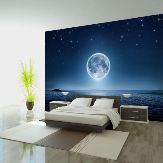 Fototapet Moonlit Night 250x175 - Artgeist sp. z o. o.
