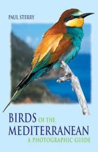 Birds Of The Mediterranean Av Paul Sterry
