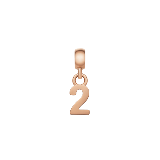 Daniel Wellington DW Charm Number 2 Rose Gold