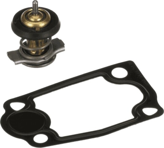 Termostat GATES TH63879G1