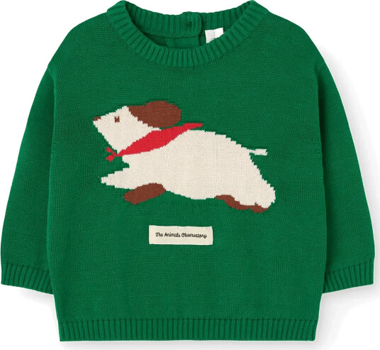 THE ANIMALS OBSERVATORY Bobcat Baby Sweater Green 68/74