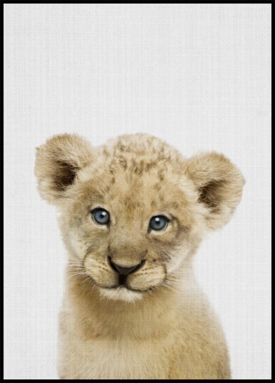 Sweet Lion Cub Plakat / 70x100