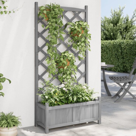 Plantekasse med espalier grå heltre gran Plantekasse med espalier grå heltre gran