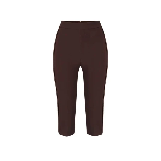 Elisabetta Franchi Dame Bukser Brun L,