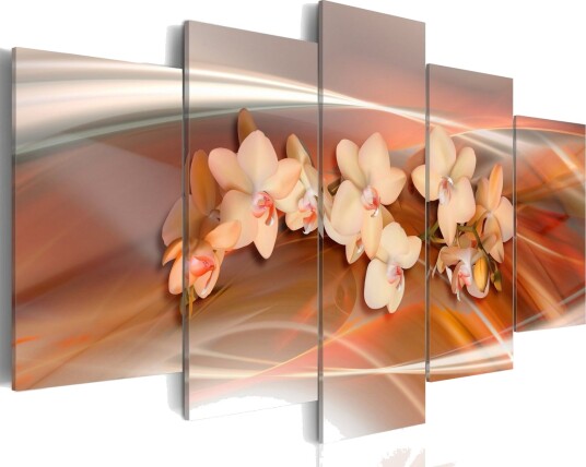 Bilde An Orchid In Grey Shades 200x100 Artgeist sp. z o. o.