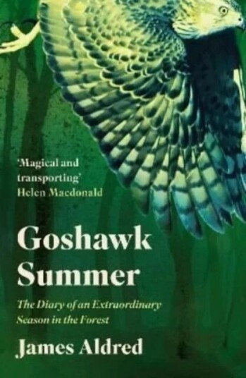 Goshawk Summer av James Aldred