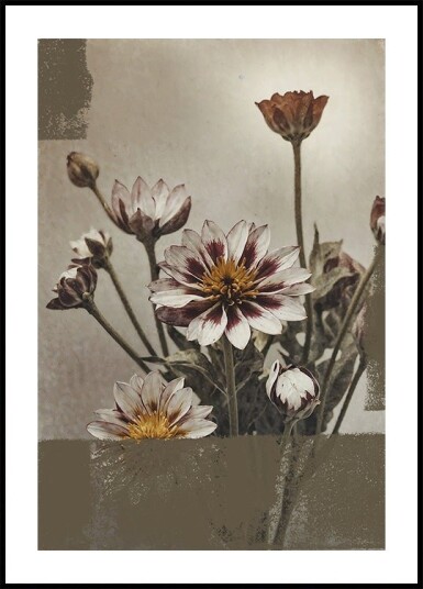 5 Vintage Flowers Poster Plakat / 50x70cm 5 Vintage Flowers Poster Plakat / 50x70cm