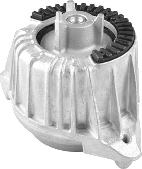 Motorfeste TEDGUM TED39310