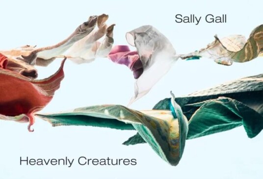 Heavenly Creatures Av Sally Gall
