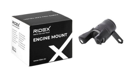 Motorfeste RIDEX 247E0461