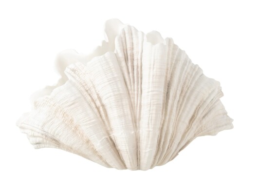VASE CLAM SHELL