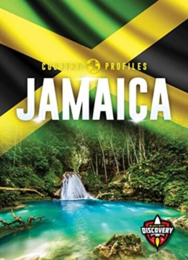 Jamaica Av Golriz Golkar