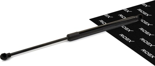 RIDEX 219G1191 Baklukedemper