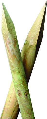 Krifon STAUR 5X150 CM