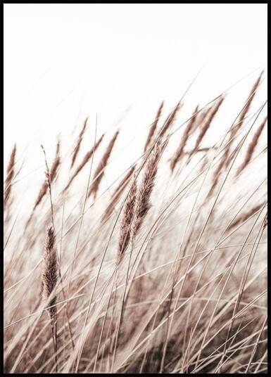 Boho Dried In Nature Plakat Plakat / 21x30cm