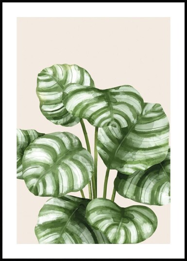 Striped Green Leaves Botanical Plakat Plakat / 70x100cm Striped Green Leaves Botanical Plakat Plakat / 70x100cm