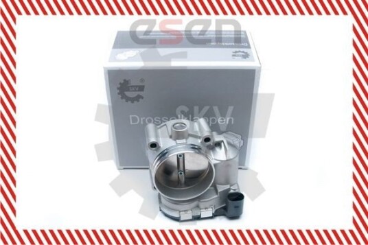 Gasspjeld ESEN SKV 12SKV052