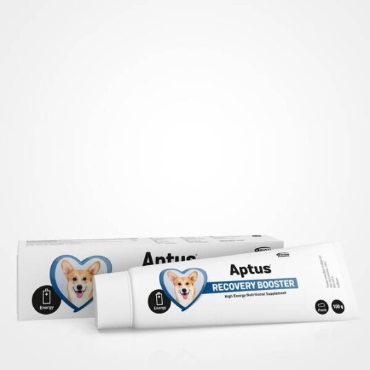Orion Aptus Recovery Boost Pasta 100G