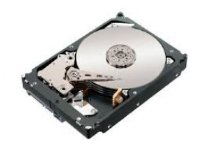 Lenovo - Harddisk - 1 TB - hot-swap - 2.5 SFF - SAS 6Gb/s - 7200 rpm - for System x3100 M5  x3250 M4  x3250 M5  x3300 M4  x35XX M4  x3650 M4 HD  x36XX M3  x3950 X5