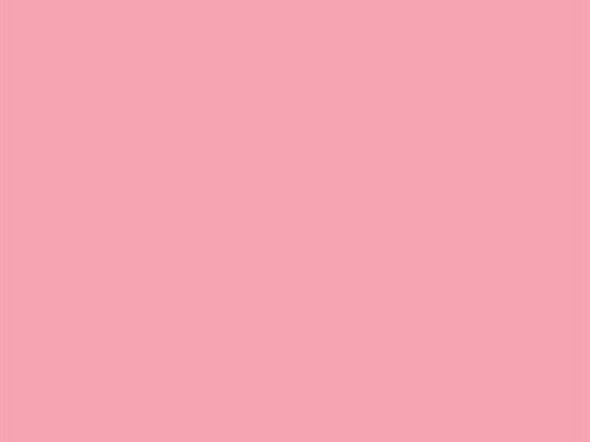 Bakgrunn Papir Rosa Nellik - 2.75x11 m