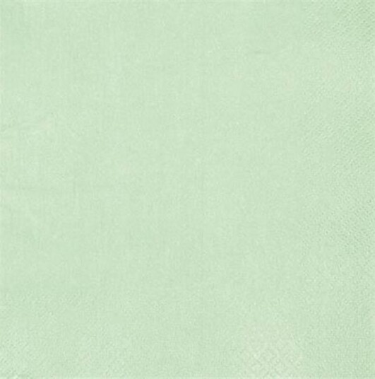 Middags serviett Mint med perle effekt fra Home Fashion