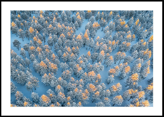 Warm up Plakat Plakat / 50x70cm