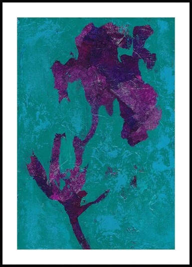 Purple Iris Plakat Plakat / 40x50cm