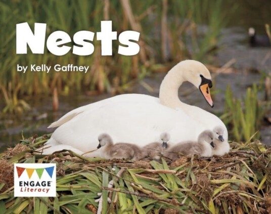 Nests Nests