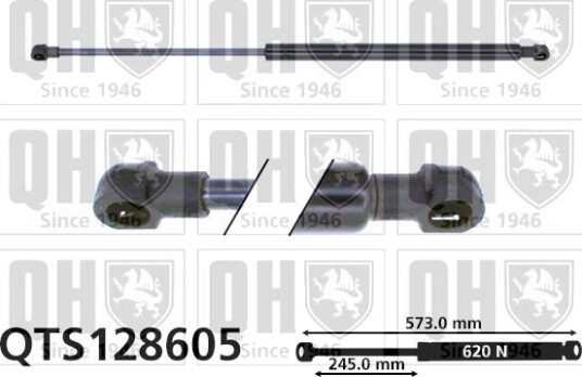 QUINTON HAZELL QTS128605 Baklukedemper