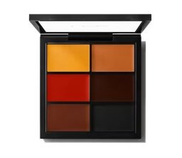 MAC Cosmetics Studio Conceal And Correct Palette 2