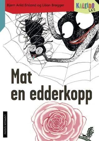Kaleido Les Av Bjørn Arild Ersland