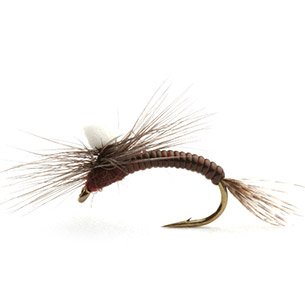 Umpqua Flies Leptoklekker