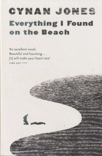 Everything I Found On The Beach Av Cynan Jones