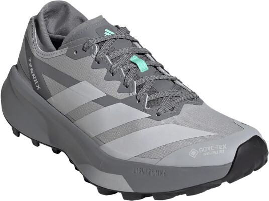 adidas Terrex Terrex Agravic Gtx 2 W Grey 43 1/3