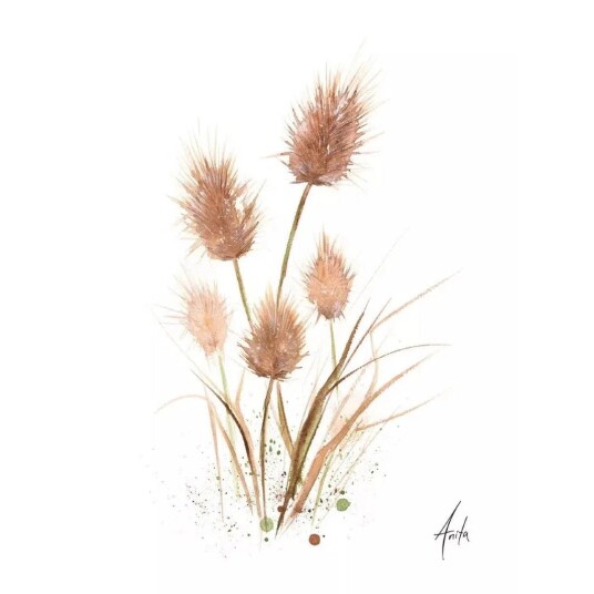 Nordicwild Kunsttrykk Strå EO 30x40cm Akvarellpapir