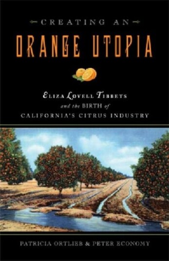 Creating an Orange Utopia Creating an Orange Utopia