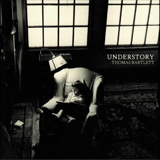 Thomas Bartlett Understory Vinyl