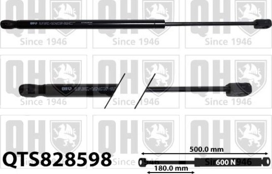 QUINTON HAZELL QTS828598 Baklukedemper